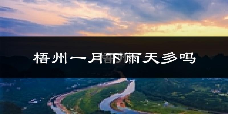 梧州一月下雨天多吗?梧州1月份降雨量多少?