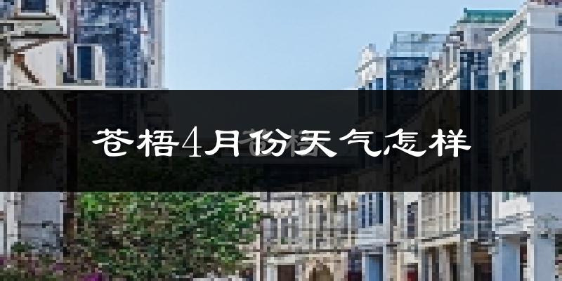 苍梧县4月份天气如何?会冷吗?