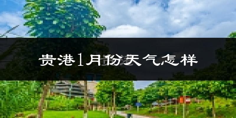 贵港市1月份天气如何?天气冷热情况分析