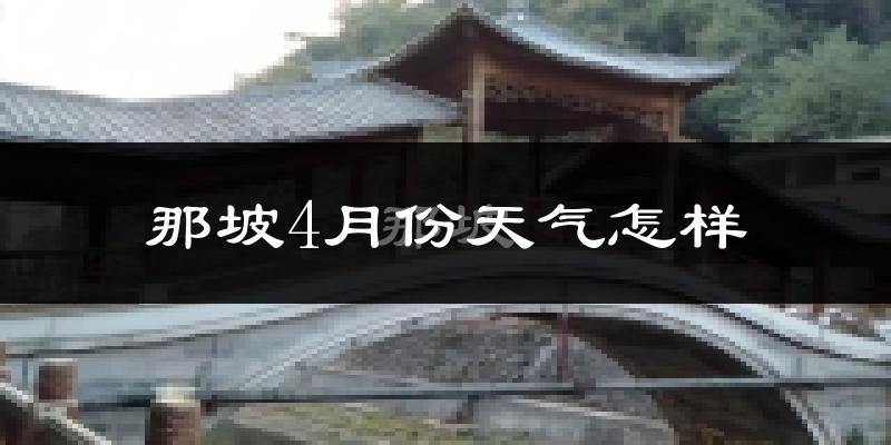 那坡县4月份天气如何?天气冷热情况分析