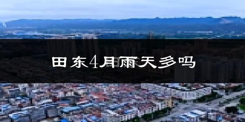 田东4月雨天多吗?