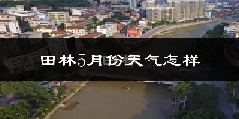 田林县5月份天气如何?很热吗?