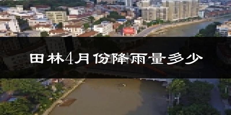 田林4月份降雨量多少?田林四月下雨多吗?