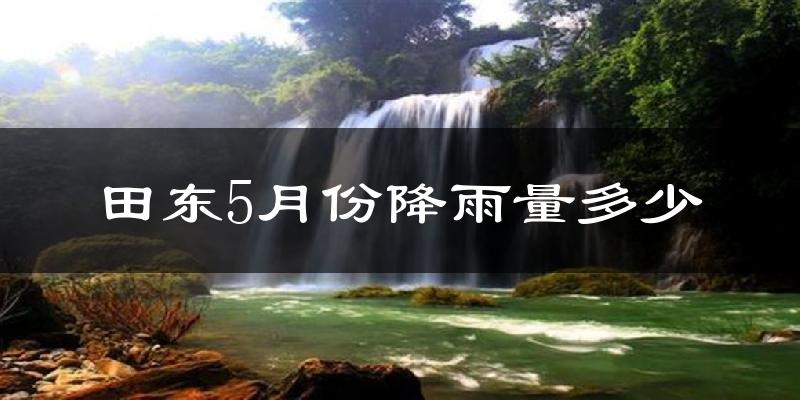 田东5月份降雨量多少?田东五月下雨多吗?