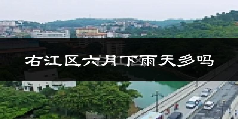 右江区六月下雨天多吗?右江区6月份降雨量多少?