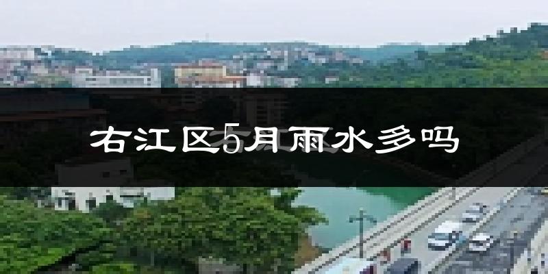 右江区5月雨水多吗?