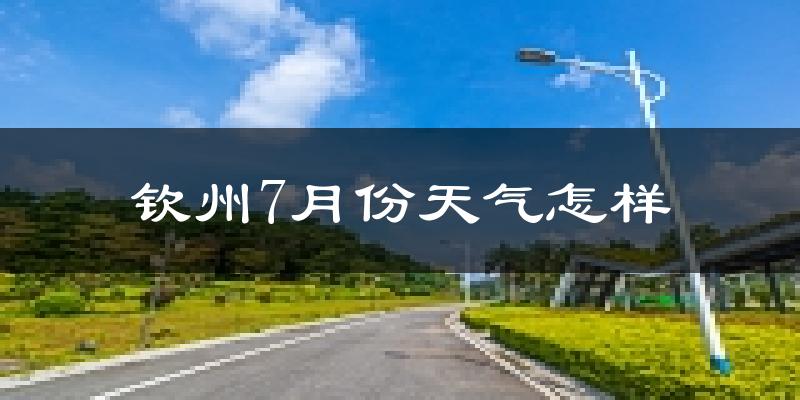 钦州市7月份天气如何?很热吗?