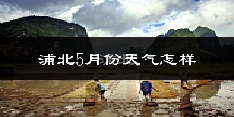 浦北县5月份天气如何?很热吗?