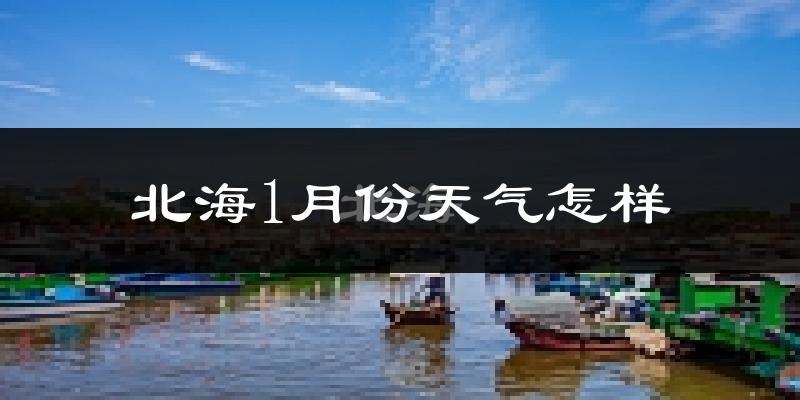 北海市1月份天气如何?冷吗?