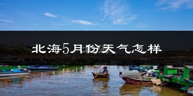 北海5月份天气如何?很热吗?