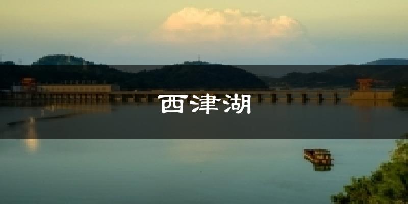西津湖天气预报十五天
