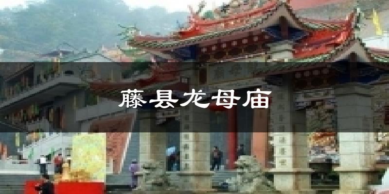 藤县龙母庙天气预报十五天