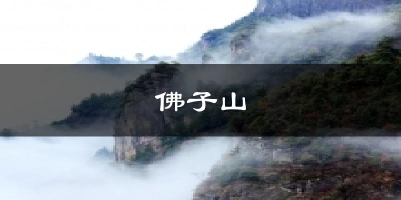 佛子山天气预报十五天
