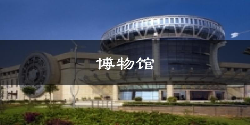 博物馆天气预报十五天