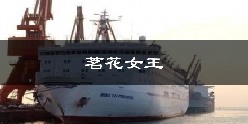 茗花女王天气预报十五天