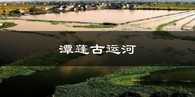 潭蓬古运河天气预报十五天