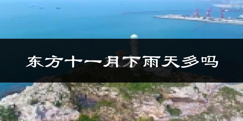 东方十一月下雨天多吗?东方11月份降雨量多少?