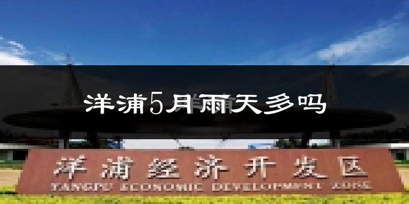 洋浦5月雨天多吗?