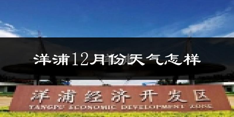 洋浦12月份天气怎样?洋浦十二月冷不冷?