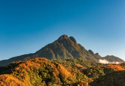 五指山今日天气