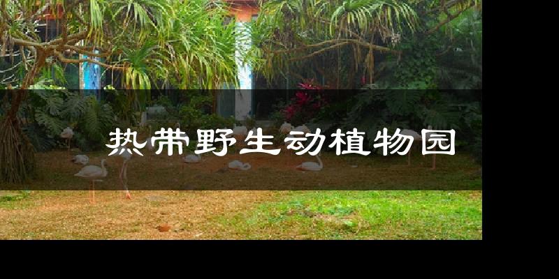 热带野生动植物园天气预报十五天