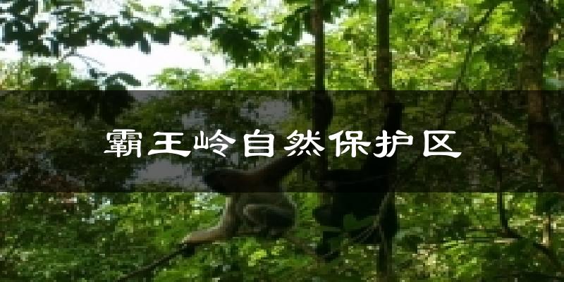 霸王岭自然保护区天气预报十五天