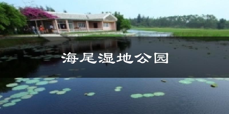 海尾湿地公园天气预报十五天