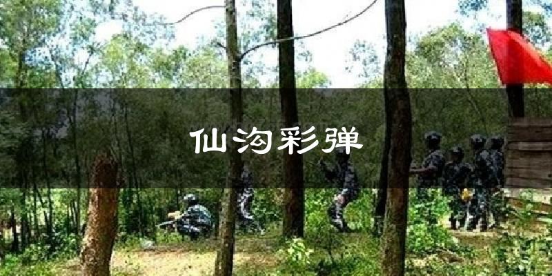 仙沟彩弹天气预报十五天