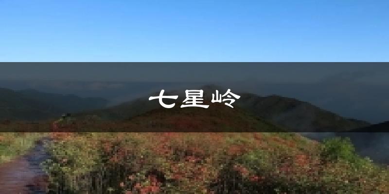 七星岭天气预报十五天