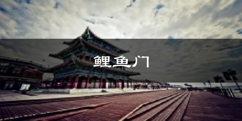 鲤鱼门天气预报十五天