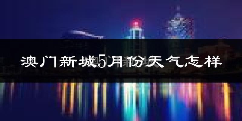 澳门新城5月份天气怎样?澳门新城五月冷吗?