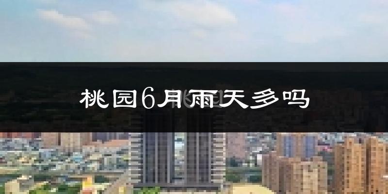 桃园6月雨天多吗?