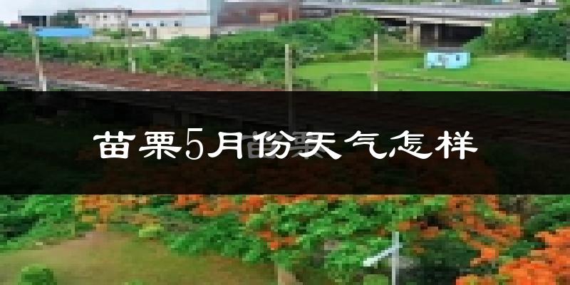 苗栗县5月份天气如何?很热吗?